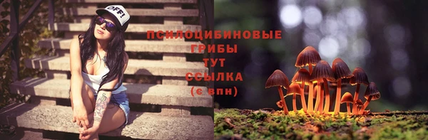 прущие крисы Дмитров