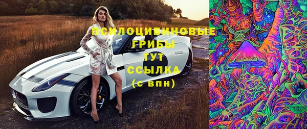 прущие крисы Дмитров