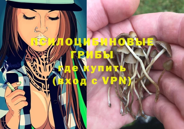 гашишное масло Дмитровск