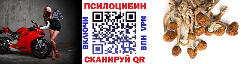 Галлюциногенные грибы мицелий  Купить  Лермонтов 