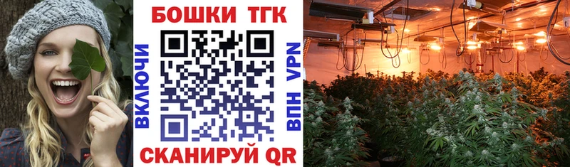 Купить где  Лермонтов  Бошки марихуана OG Kush 